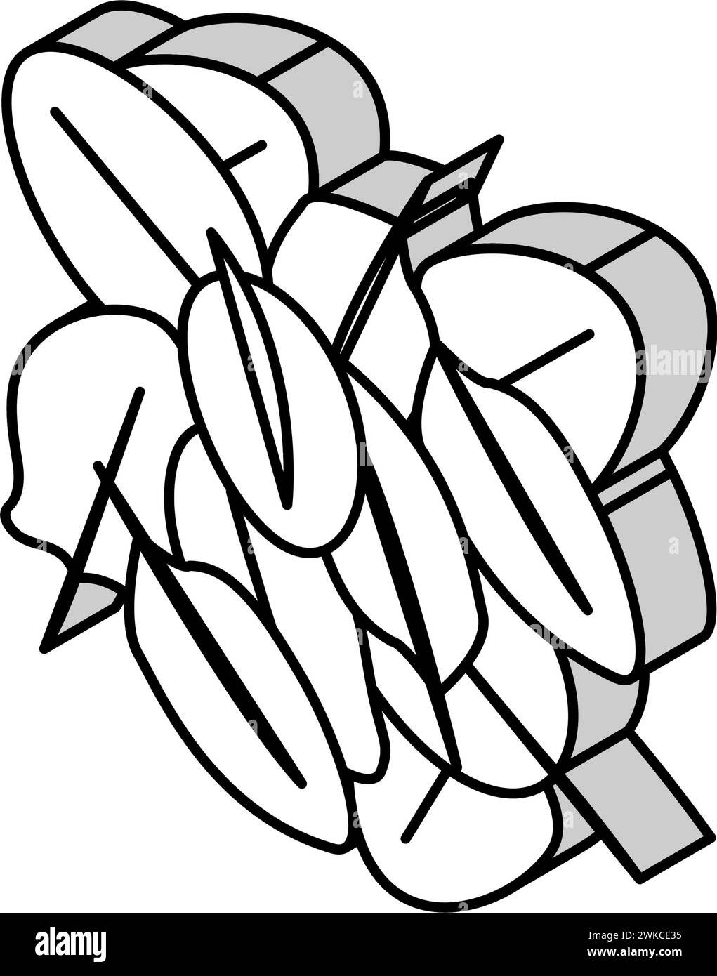 illustration vectorielle d'icône isométrique d'épinards de pile Illustration de Vecteur