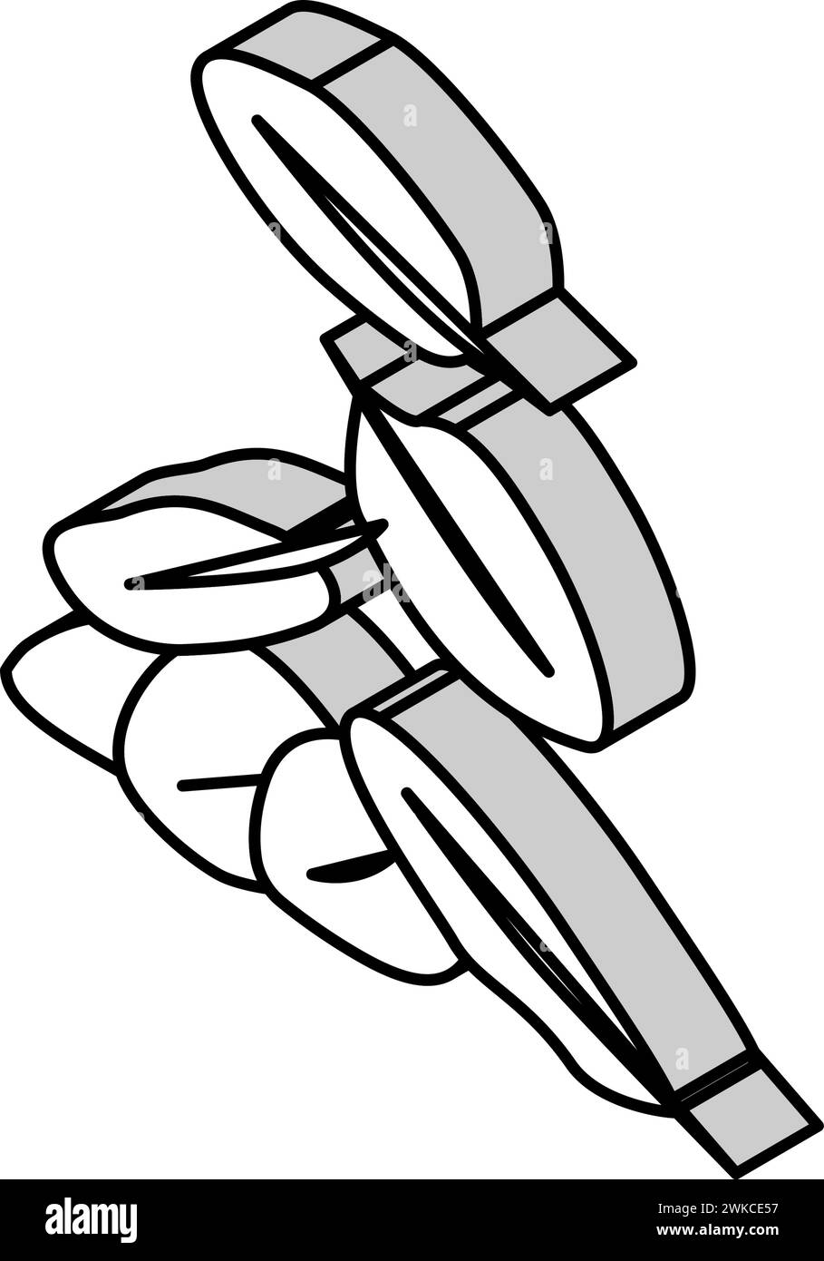 feuilles d'épinard illustration vectorielle isométrique d'icône Illustration de Vecteur