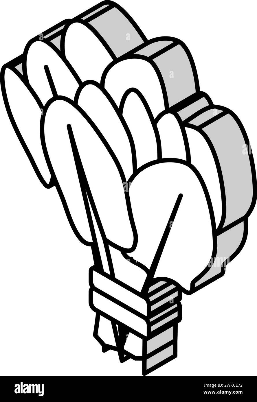 illustration vectorielle d'icône isométrique d'épinards de bouquet Illustration de Vecteur