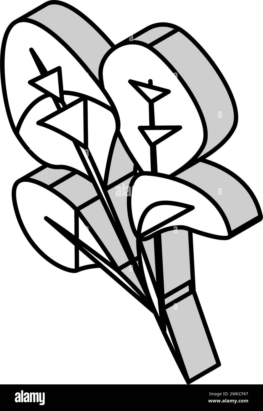 illustration vectorielle d'icône isométrique épinard rouge Illustration de Vecteur