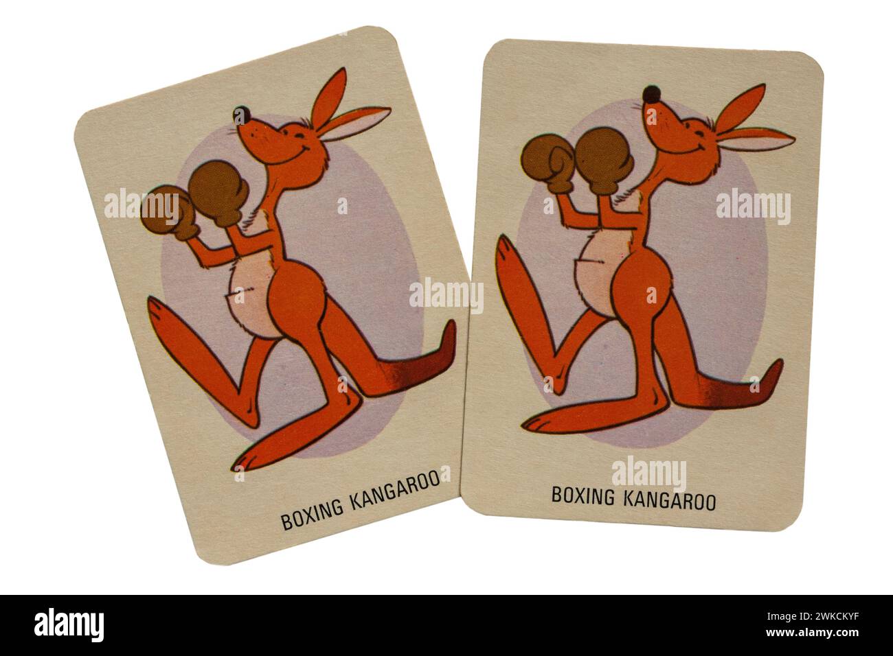 Paire de vieilles cartes rétro Boxing Kangourou du paquet de cartes à jouer d'âne isolé sur fond blanc - Royaume-Uni Banque D'Images