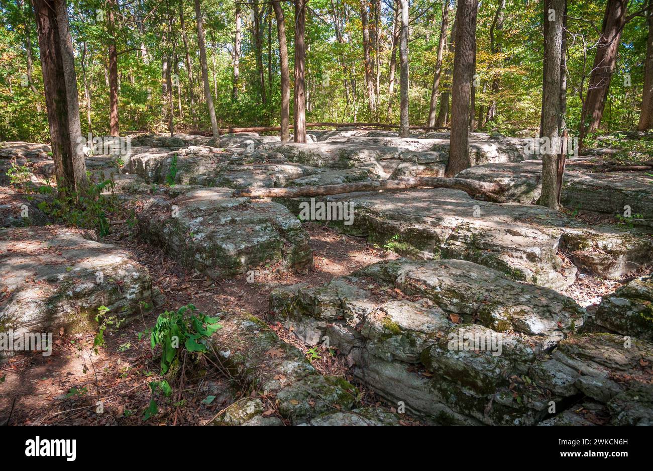 Le champ de bataille national de Stones River dans le comté de Rutherford, Tennessee, États-Unis Banque D'Images