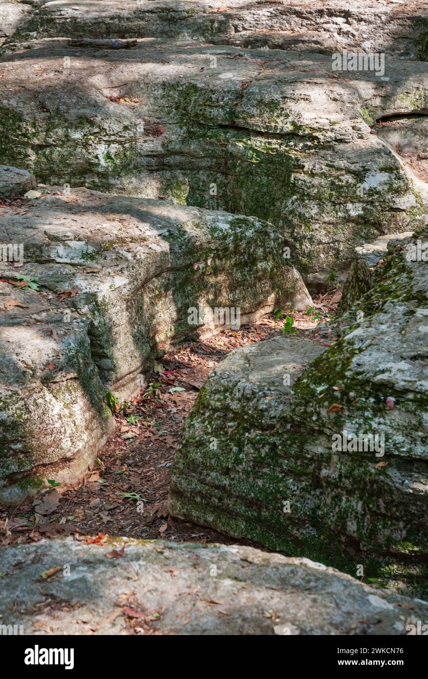 Le champ de bataille national de Stones River dans le comté de Rutherford, Tennessee, États-Unis Banque D'Images