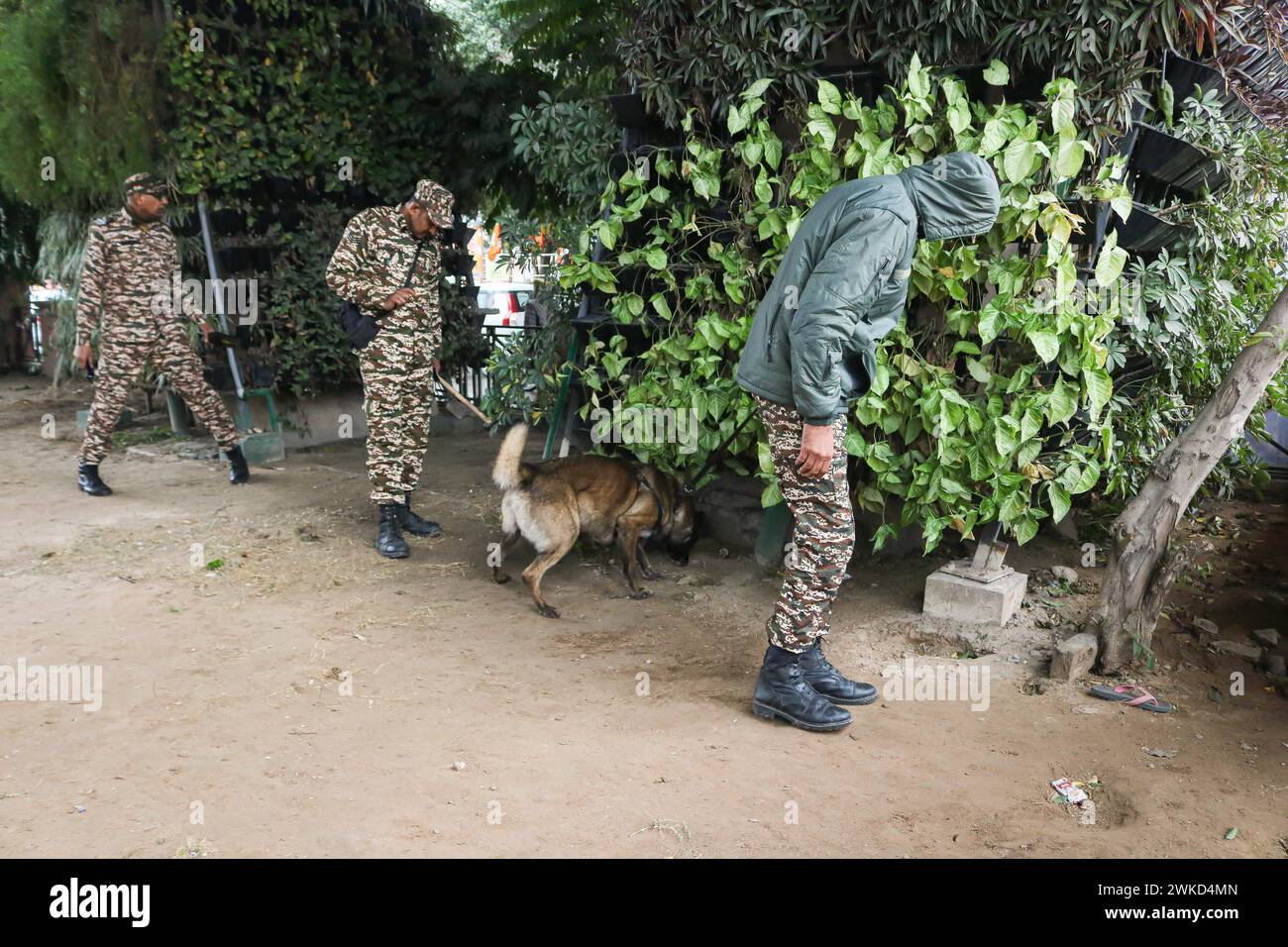 Renforce la sécurité avant la visite du PM Narendra Modi le 19 février 2024, Jammu, Inde : des soldats paramilitaires indiens vérifient une rue avec un chien renifleur à l'extérieur du stade Maulana Azad avant la visite du premier ministre Narendra Modi à Jammu. Jammu Kashmir India Copyright : xFirdousxNazirxxEyepixxGroupx Banque D'Images