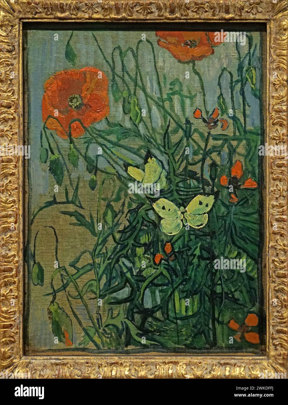 Papillons et coquelicots (1890) de Vincent van Gogh (1853-1890) Banque D'Images