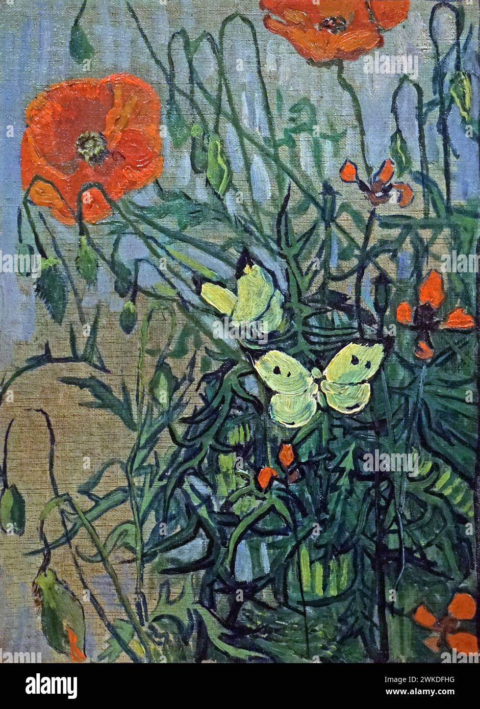 Papillons et coquelicots (1890) de Vincent van Gogh (1853-1890) Banque D'Images