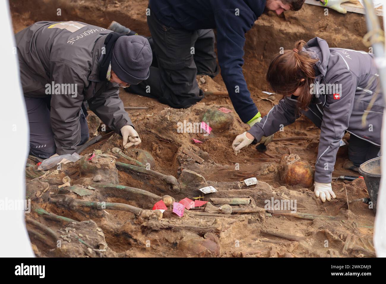 Nuremberg, Allemagne. 20 février 2024. Les archéologues fouillent les restes humains de l'une des plus grandes tombes de peste découvertes en Allemagne à ce jour. Les squelettes ont été découverts lors de travaux de construction sur le site d'une nouvelle maison de retraite. Crédit : Daniel Löb/dpa/Alamy Live News Banque D'Images