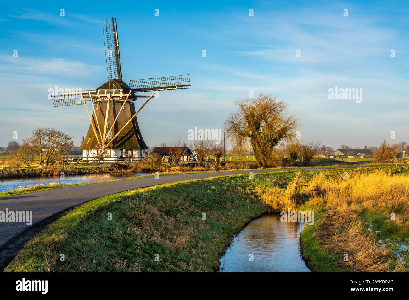 Beau paysage hollandais, route sinueuse le long du moulin à vent traditionnel et vieux saule par une journée ensoleillée Banque D'Images