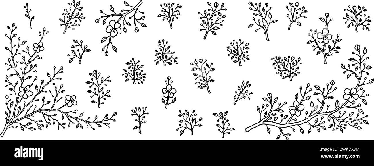 Ensemble de branches de fleurs de cerisier printanier. Illustration vectorielle dessin à la main de fleurs de sakura japonaises. Élément de design minimaliste Lain art. Contour vint Illustration de Vecteur