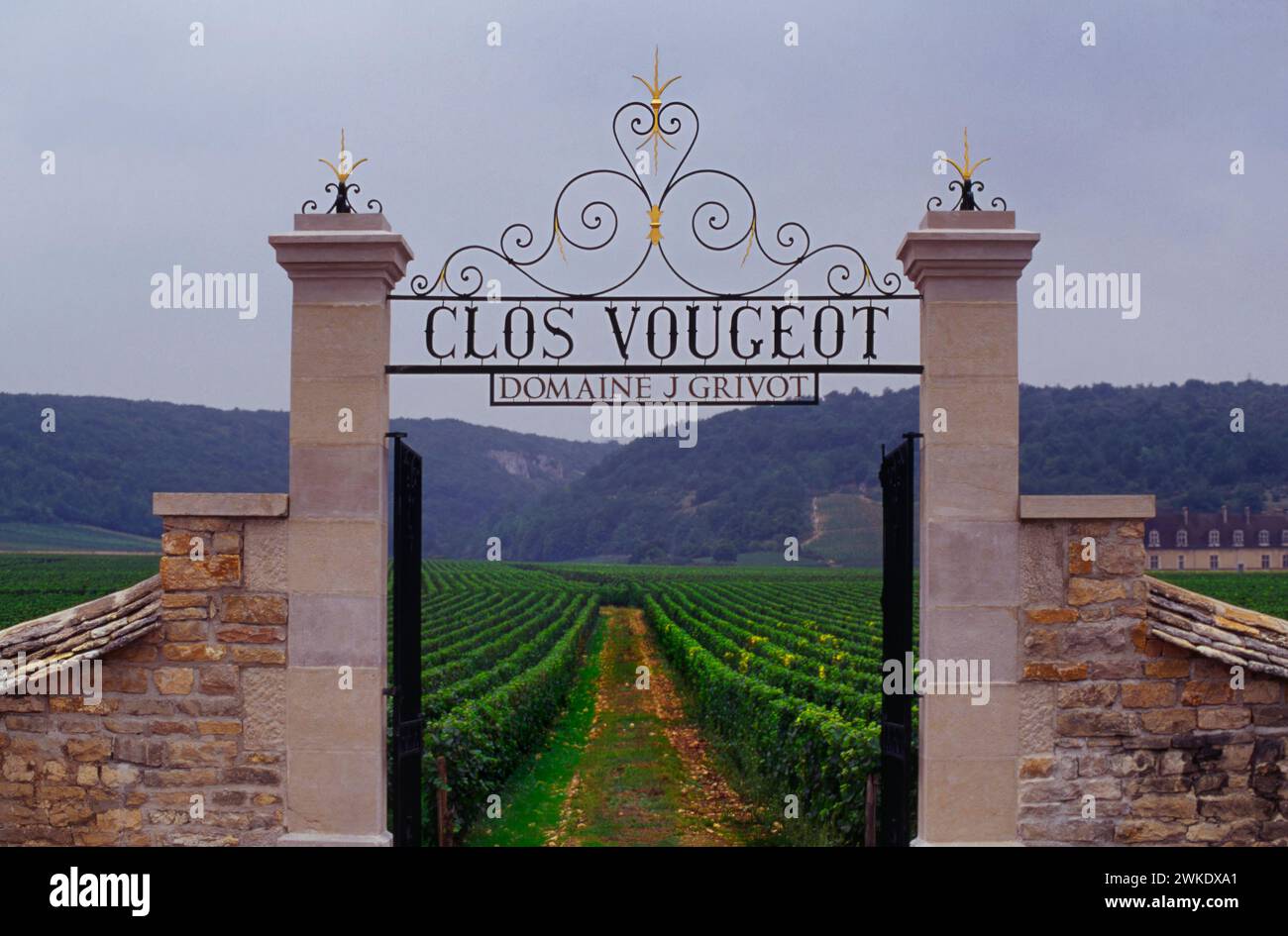 Vignobles du Clos de Vougeot, Vougeot, Côte-d'Or, Bourgogne, France Banque D'Images