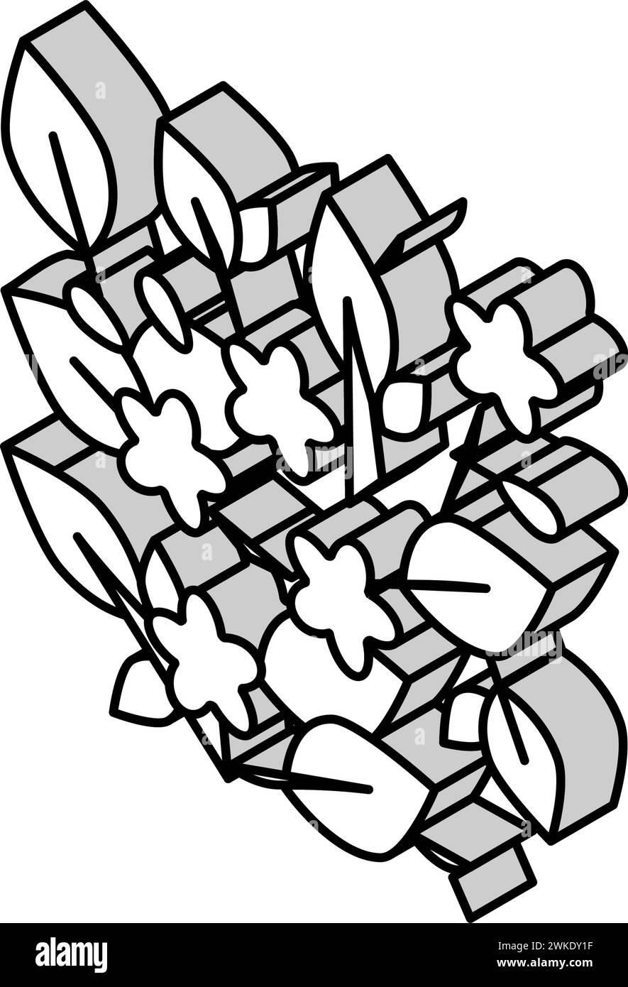 illustration vectorielle d'icône isométrique caroline jessamine Illustration de Vecteur