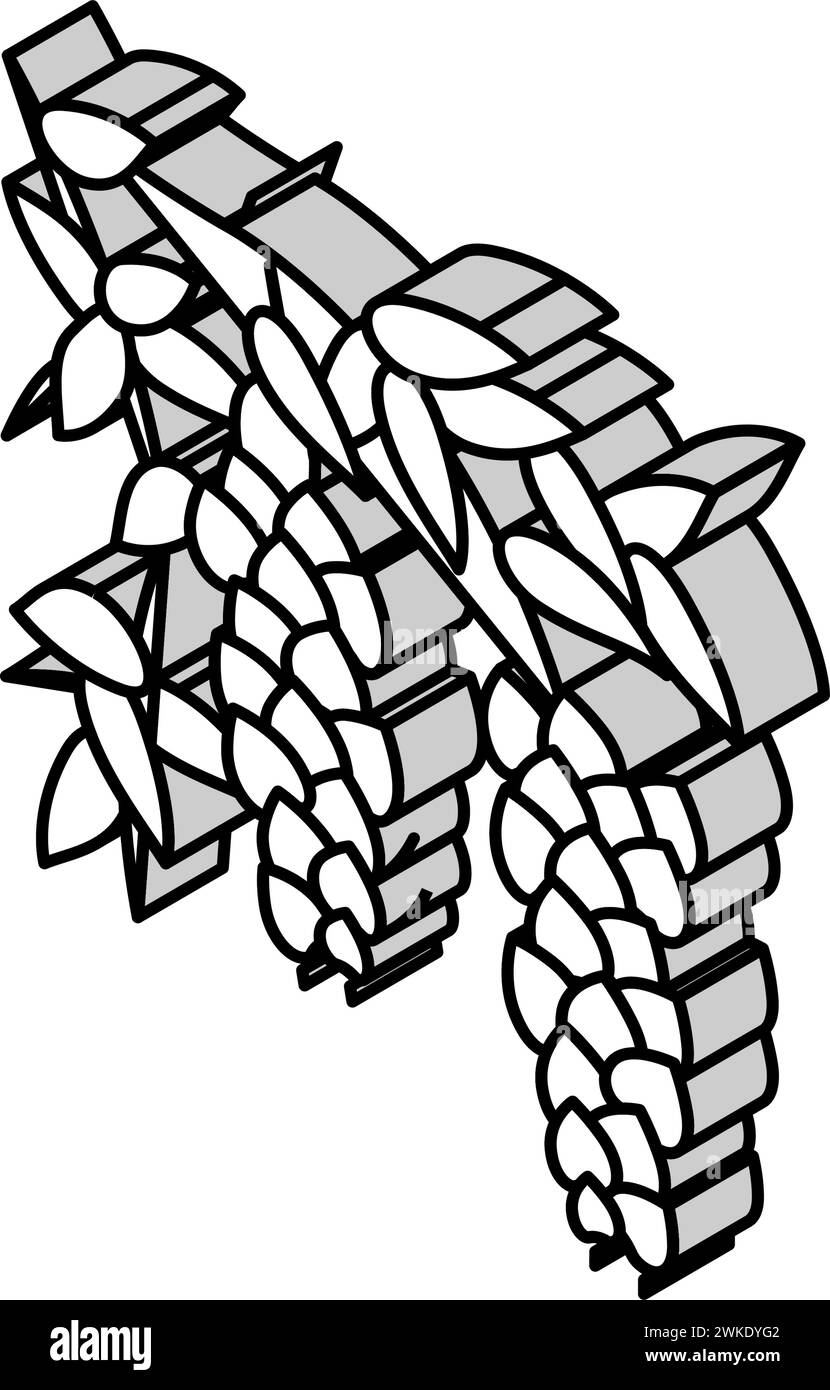illustration vectorielle d'icône isométrique wisteria liana Illustration de Vecteur