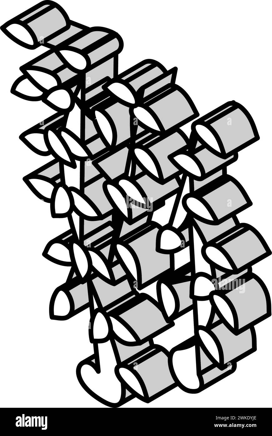 illustration vectorielle d'icône isométrique de branche de croissance de liana Illustration de Vecteur
