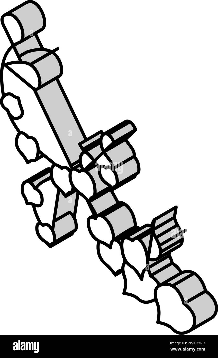 illustration vectorielle d'icône isométrique de plante liana Illustration de Vecteur