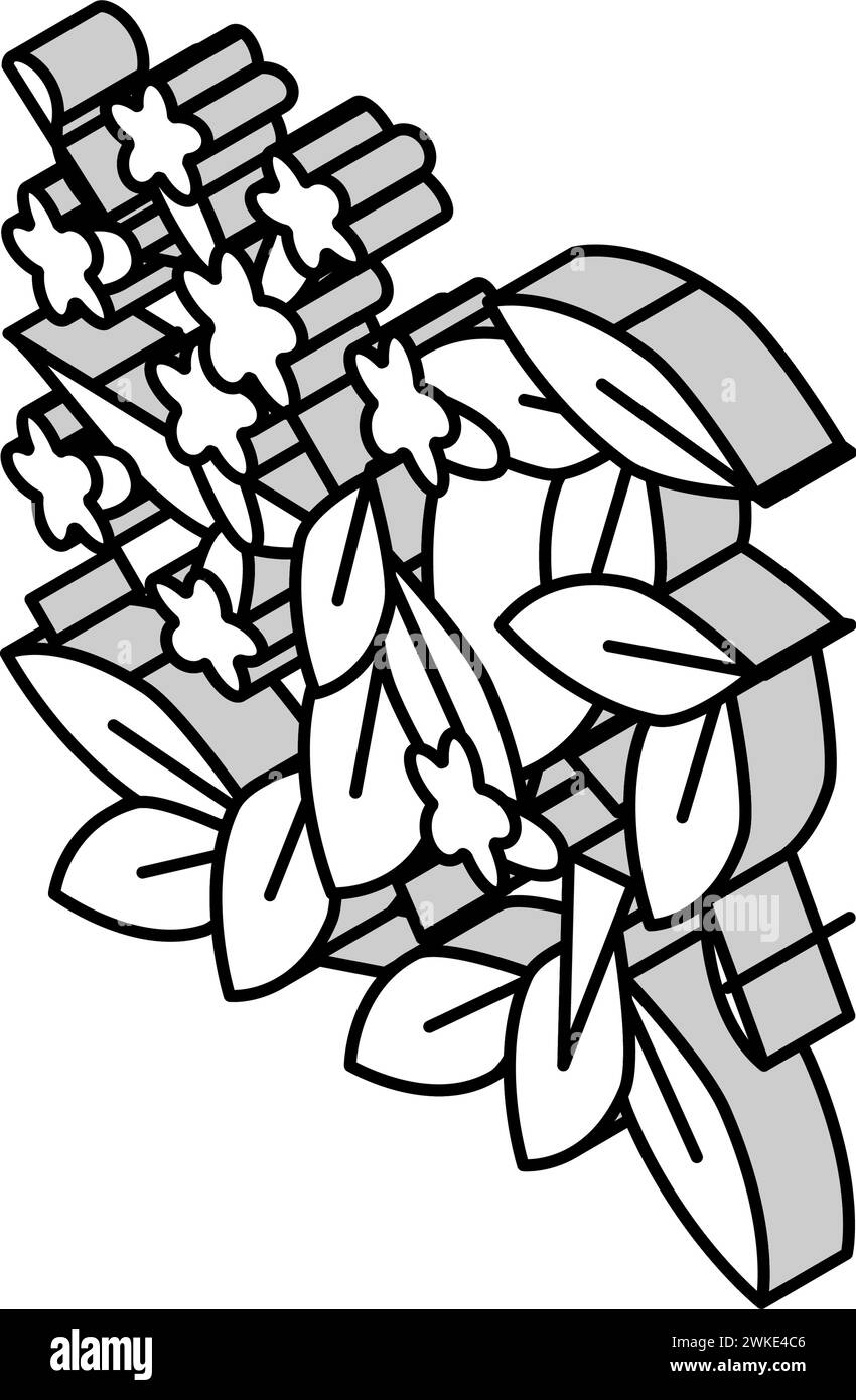 illustration vectorielle d'icône isométrique bignonia capreolata Illustration de Vecteur