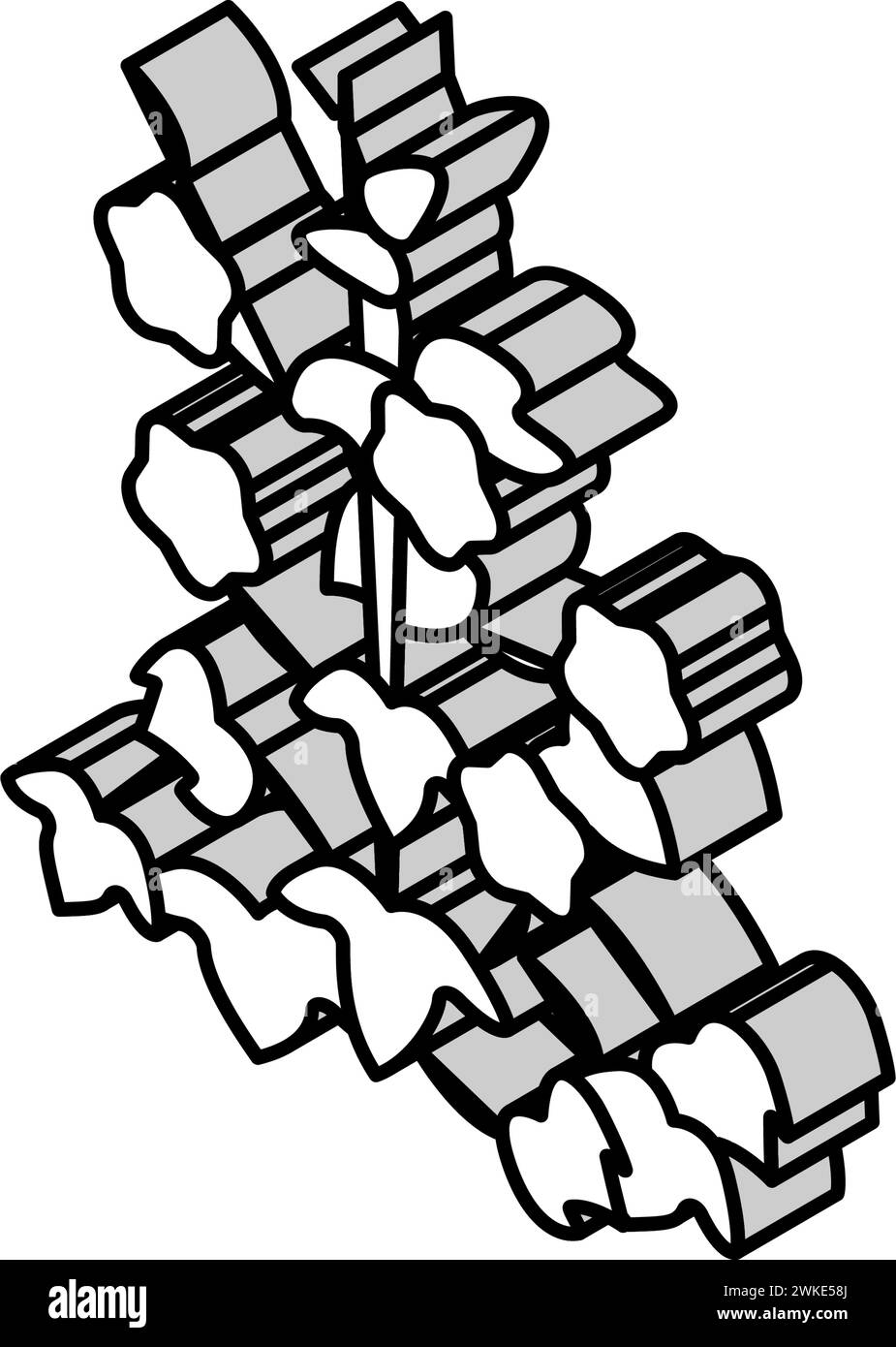 illustration vectorielle d'icône isométrique morning glory Illustration de Vecteur