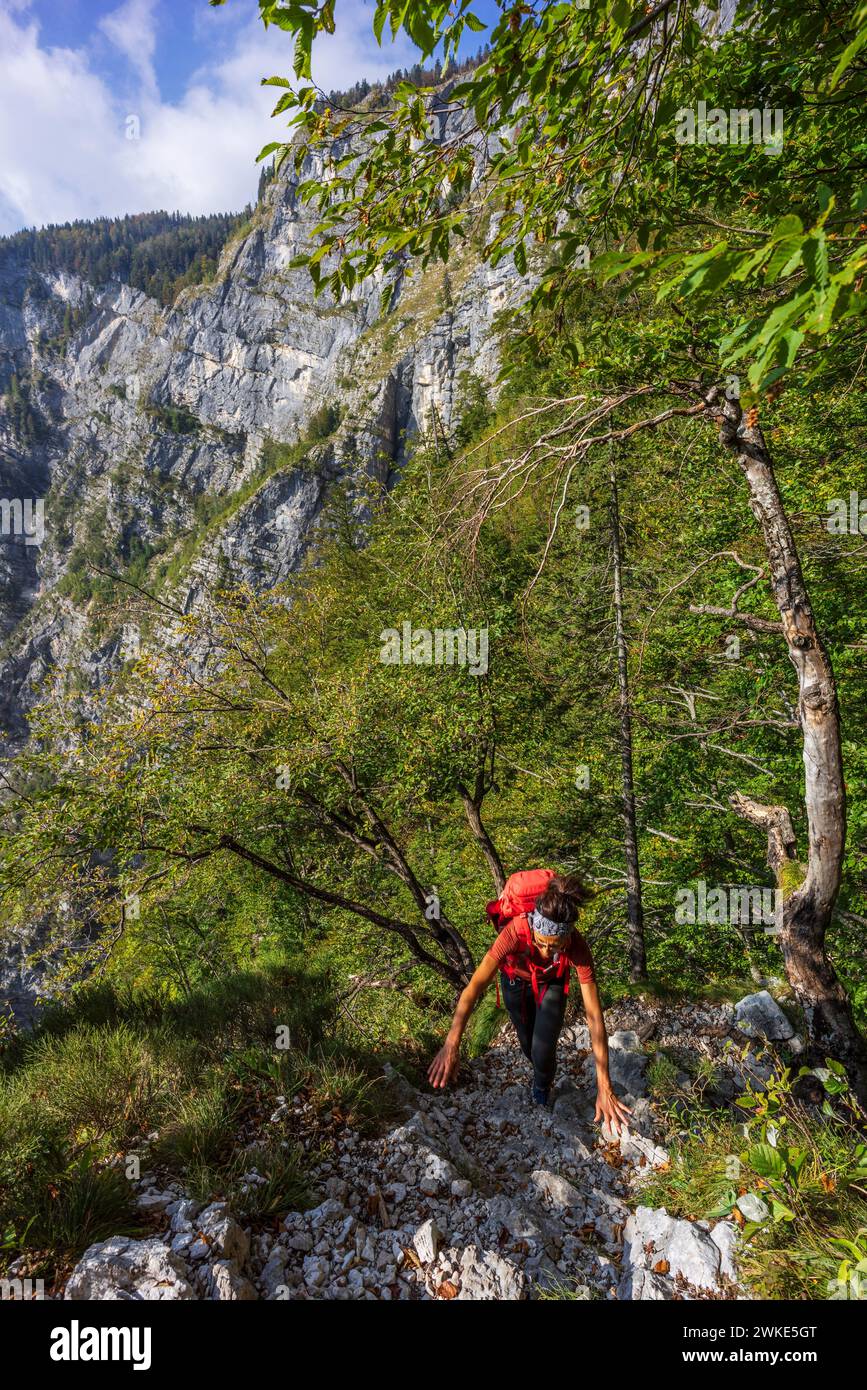 Route vers le Mont Triglav depuis le lac Bohinj, le parc national du Triglav, les alpes juliennes. Slovénie, Europe centrale,. Banque D'Images