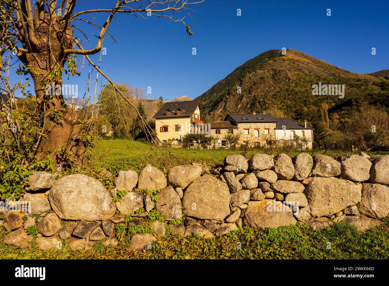 Sant Feliu de Barruera , Vallée de Boí (la Vall de Bohí) région catalane d'Alta Ribagorza, province de Lérida, Espagne. Banque D'Images