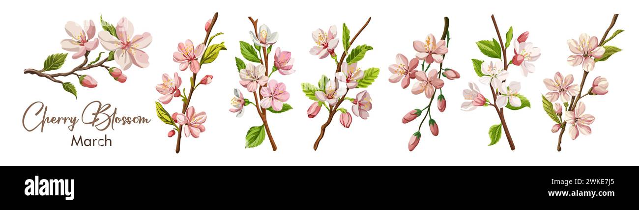 Fleur de cerisier, Sakura, fleur du mois de naissance de mars. Illustration de Vecteur
