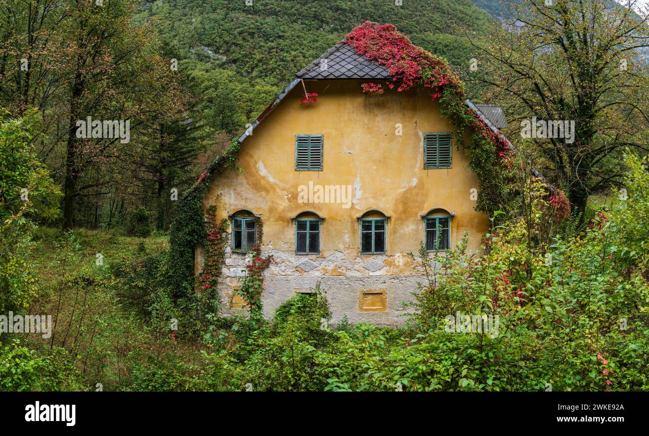 Ancienne maison abandonnée, BAV¨ica Valley dans le parc national du Triglav, Bovec, Alpes juliennes. Slovénie, Europe centrale. Banque D'Images