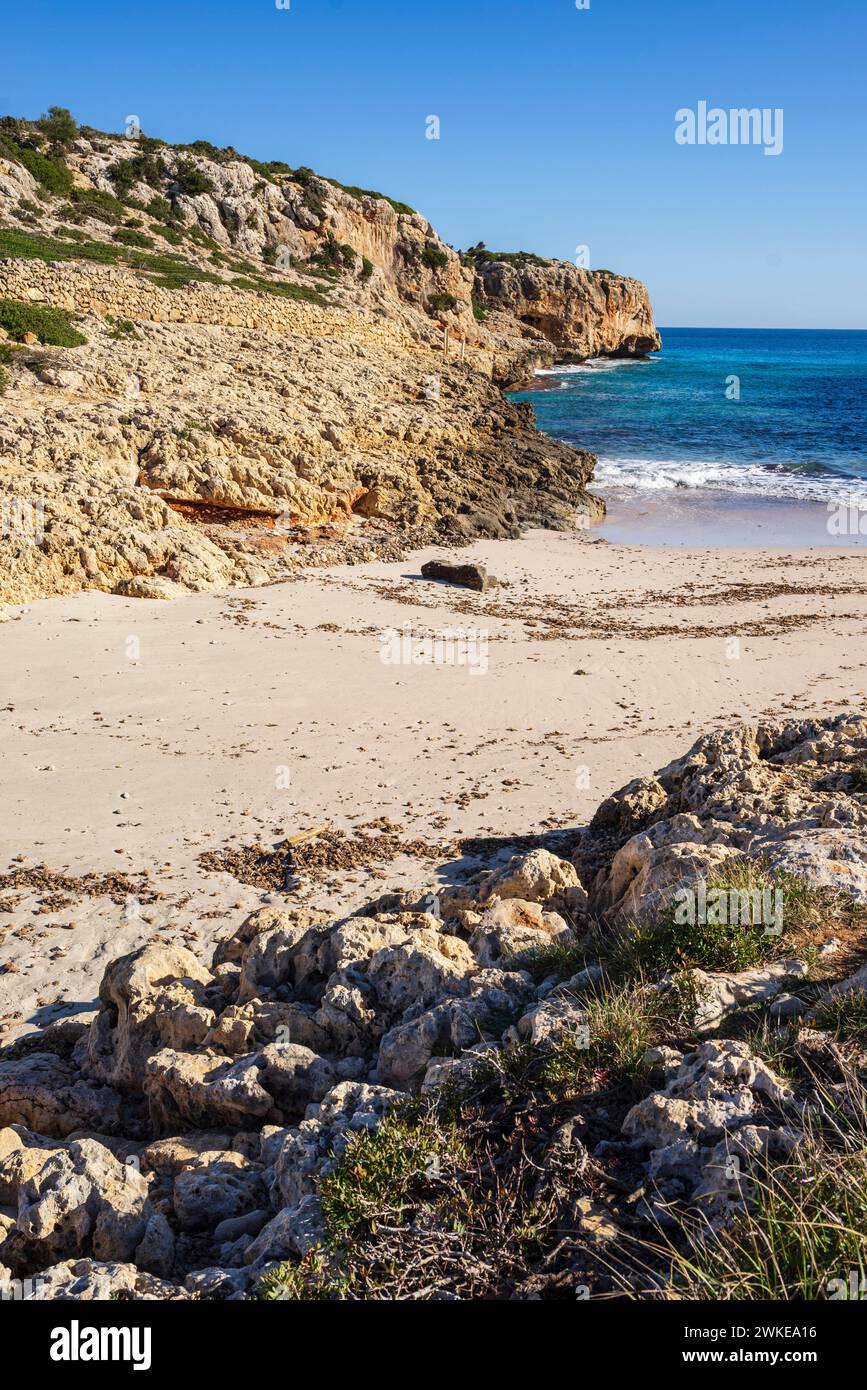 Cala Sequer, Manacor Coast, Majorque, Îles Baléares, Espagne. Banque D'Images