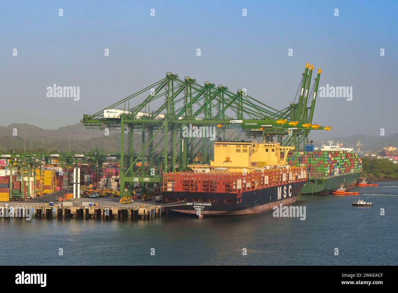 Panama City, Panama - 23 janvier 2024 : grues déchargeant des porte-conteneurs amarrés dans le port de Panama City Banque D'Images