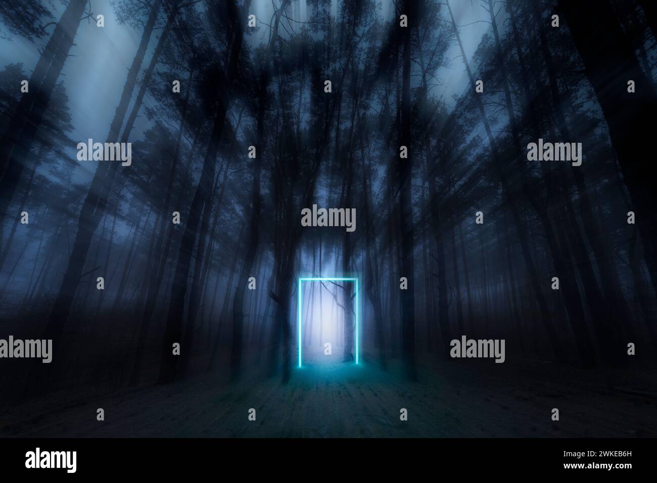 Forêt mystique. Portail néon lumineux. Lueur néon. Forêt d'automne sombre. Matin brumeux dans la forêt. Fairy mystérieuse Forêt. Banque D'Images