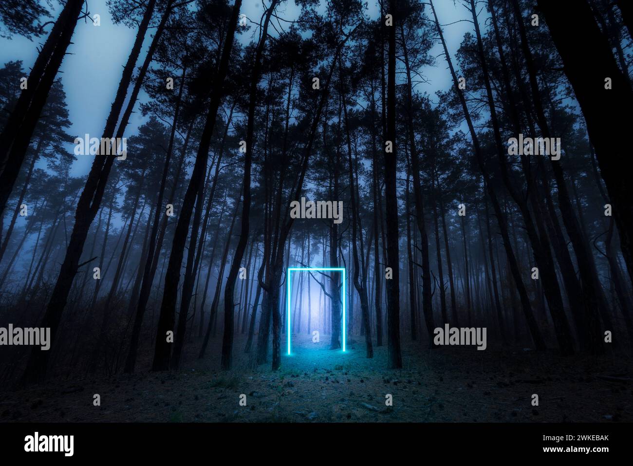 Forêt mystique. Portail néon lumineux. Lueur néon. Forêt d'automne sombre. Matin brumeux dans la forêt. Fairy mystérieuse Forêt. Banque D'Images