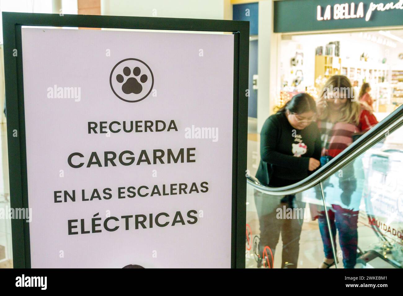 Merida Mexique, Zona Industrial, Galerias Merida centre commercial, intérieur, signe d'avertissement, porter des chiens d'animaux de compagnie vers le bas de l'escalator, femme femme femme femme femme femme FEM Banque D'Images