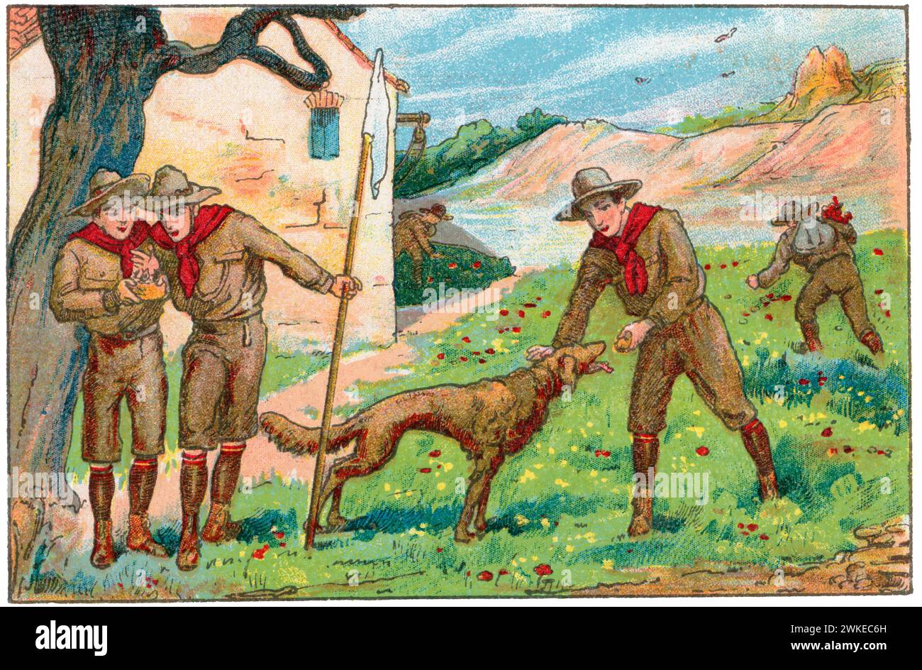Colección de cromos de los Exploradores Españoles (scouts). Jóvenes exploradores amantes de los animales y la naturaleza. años 1930. Banque D'Images