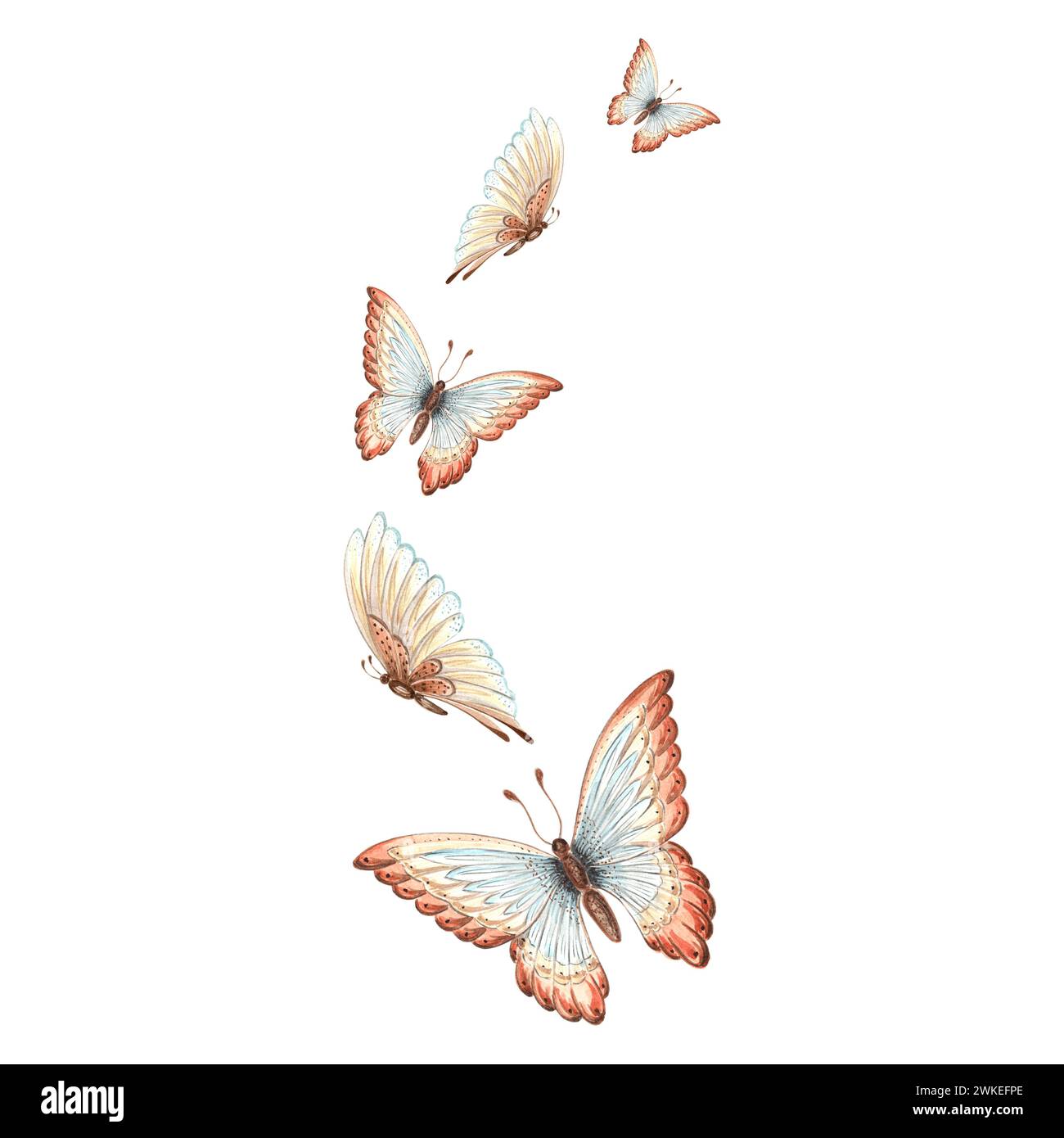 Aquarelle papillons volants délicate couleur bleu brun. Illustration isolée dessinée à la main printemps exotique d'insecte sauvage modèle dessin pour carte, packagi Banque D'Images