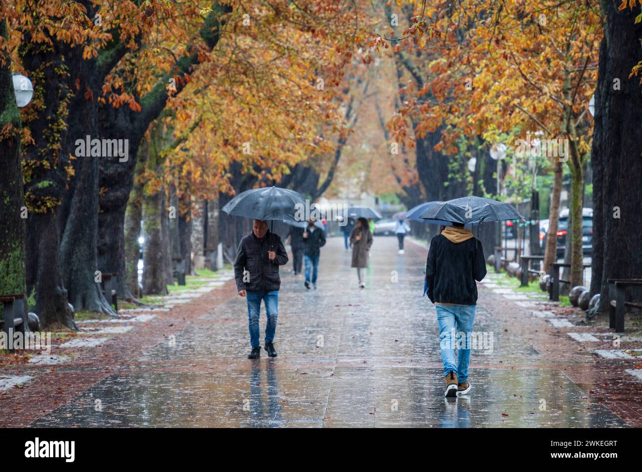 Fray Francisco de Vitoria Walk, automne sous la pluie, Vitoria, pays Basque, Espagne. Banque D'Images