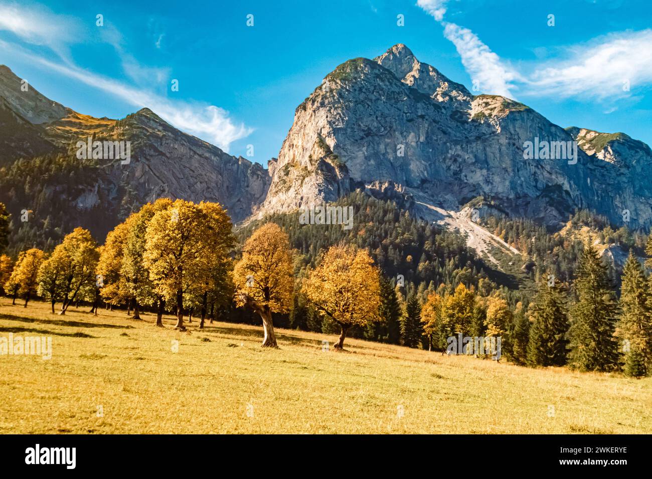 Paysage d'automne alpin ou d'été indien tourné à Grosser Ahornboden, grande érable, Hinterriss, Schwaz, Tyrol, Autriche Ahornboden, Ax 115 Banque D'Images