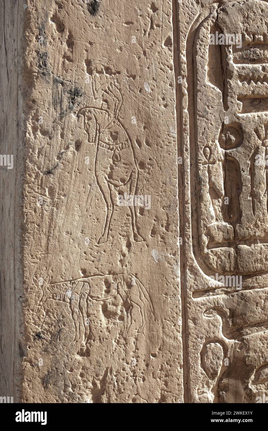 Temple de Beit el-Wali, Nouvelle Kalabsha, Lac Nasser, Egypte Banque D'Images