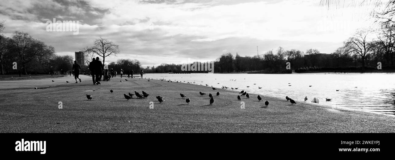 Hyde Park sur un matin froid d'hiver tourné en noir et blanc. Banque D'Images