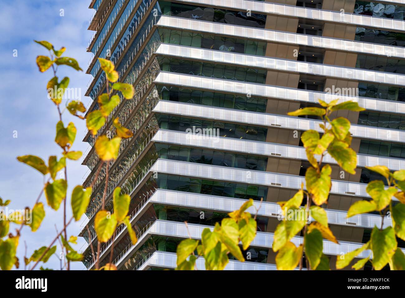 Tour Mapfre, Port Olympique, Barcelone, Catalogne, Espagne. Banque D'Images