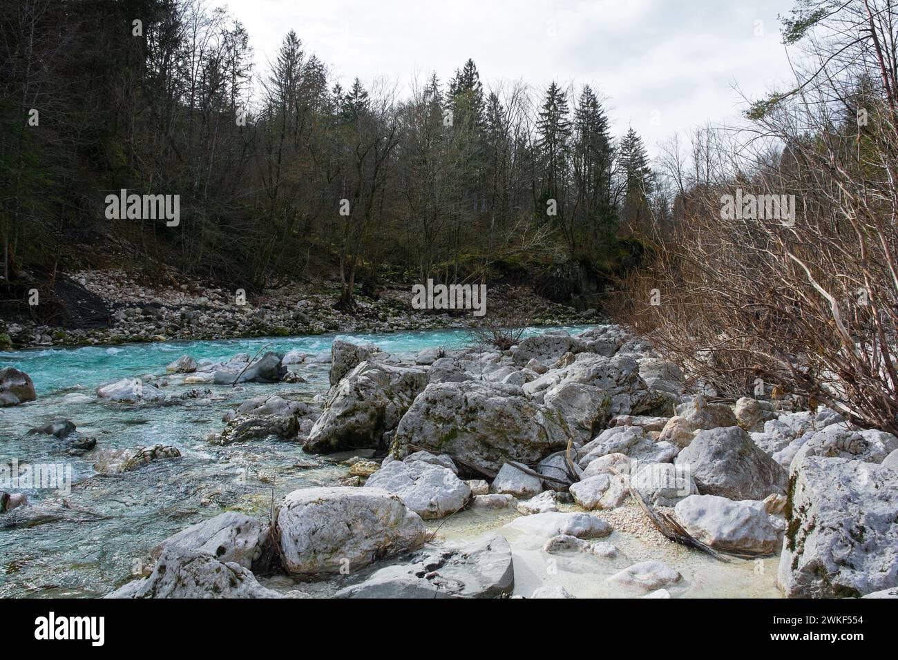 Rivière Soca près de Kal-Koritnica, municipalité de Bovec, Primorska ou région du littoral, NW Slovénie.cette rivière alpine coule de la vallée de Trenta dans les Alpes juliennes Banque D'Images