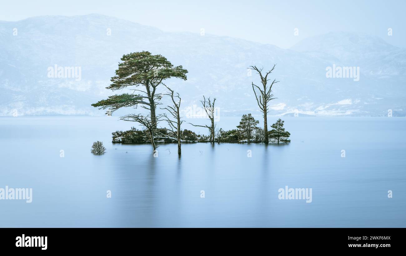 Petite île d'arbres sur un Loch écossais en hiver Banque D'Images