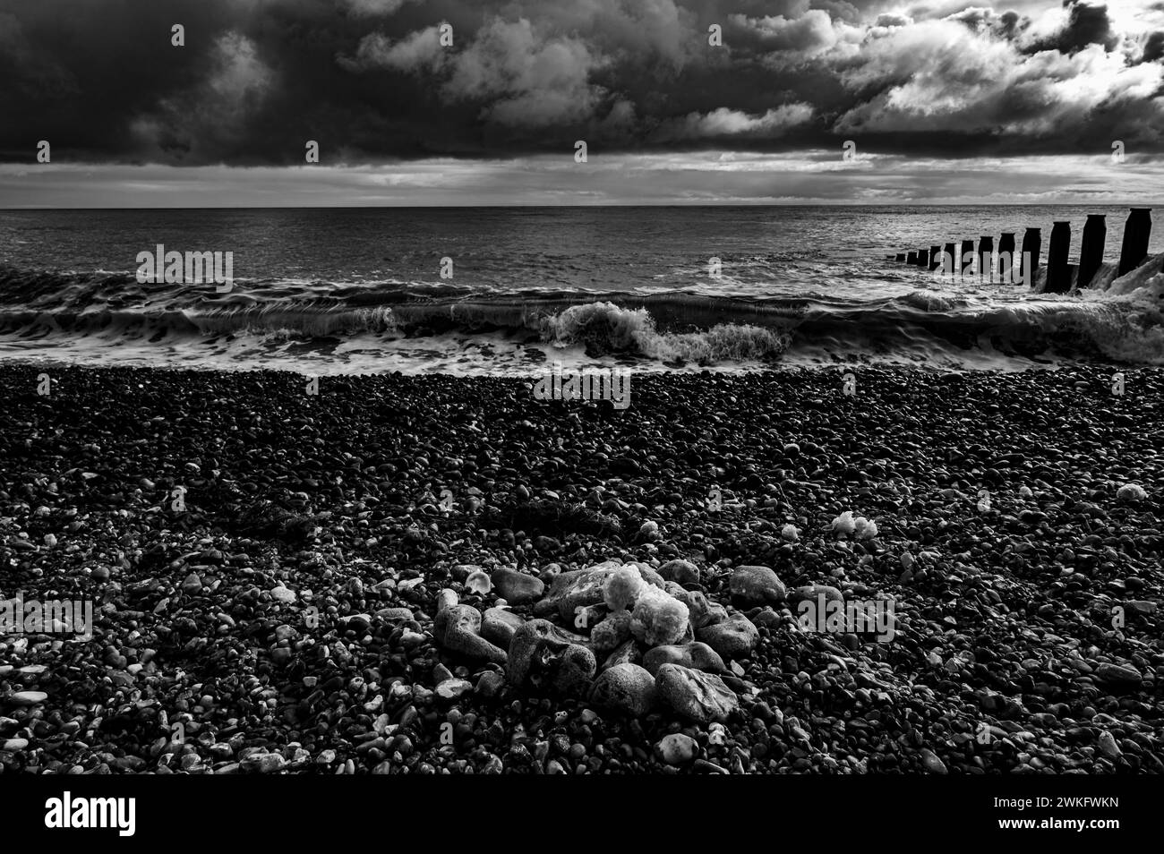 Éponge de mer reposant sur la plage dans un jour nuageux d'hiver Banque D'Images