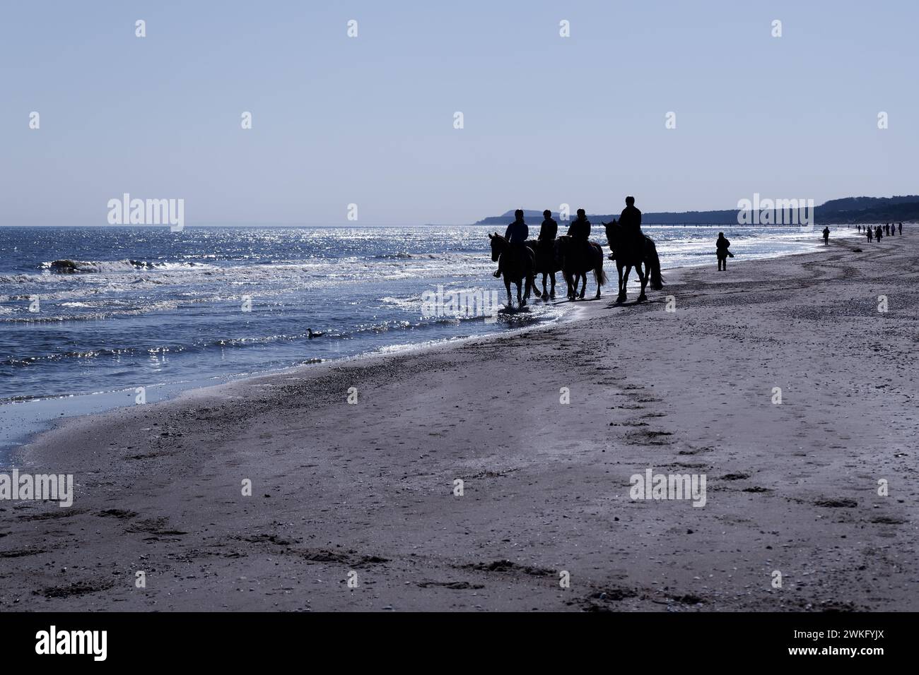 Groupe de personnes à cheval le long de l'eau sur la plage Banque D'Images