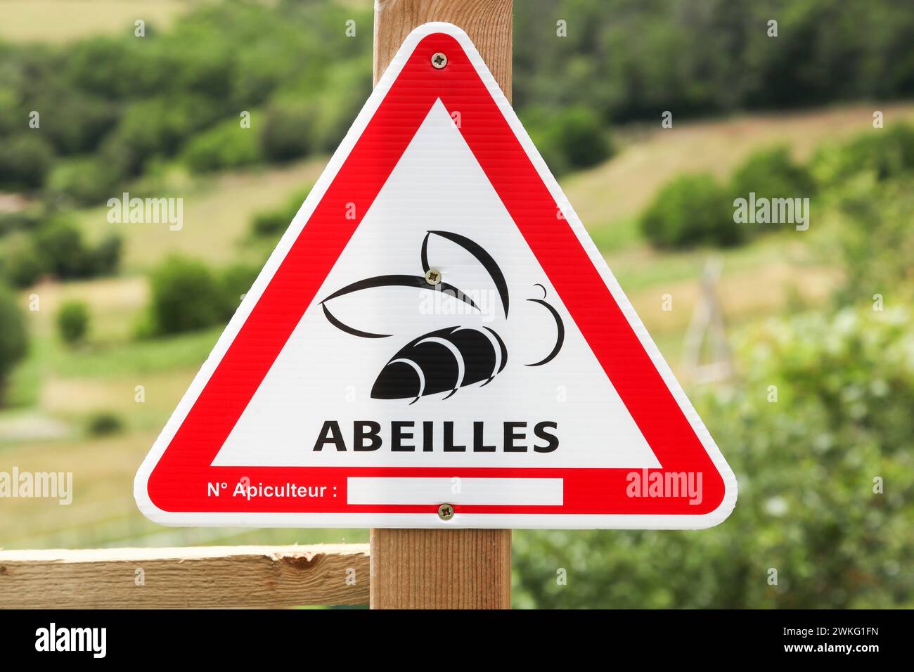 Panneau d'avertissement d'abeille en langue française Banque D'Images