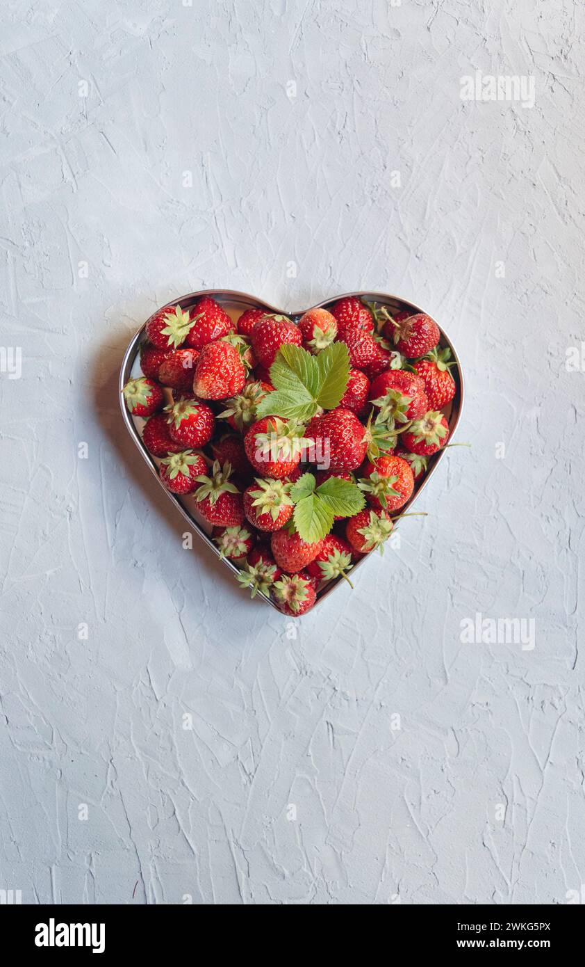 Fraise . Végétalien propre manger, régime alcalin. Vue de dessus. Maquette. récolte fraîche de fraises. Fraises fraîches mûres dans une assiette blanche. Vue depuis un Banque D'Images