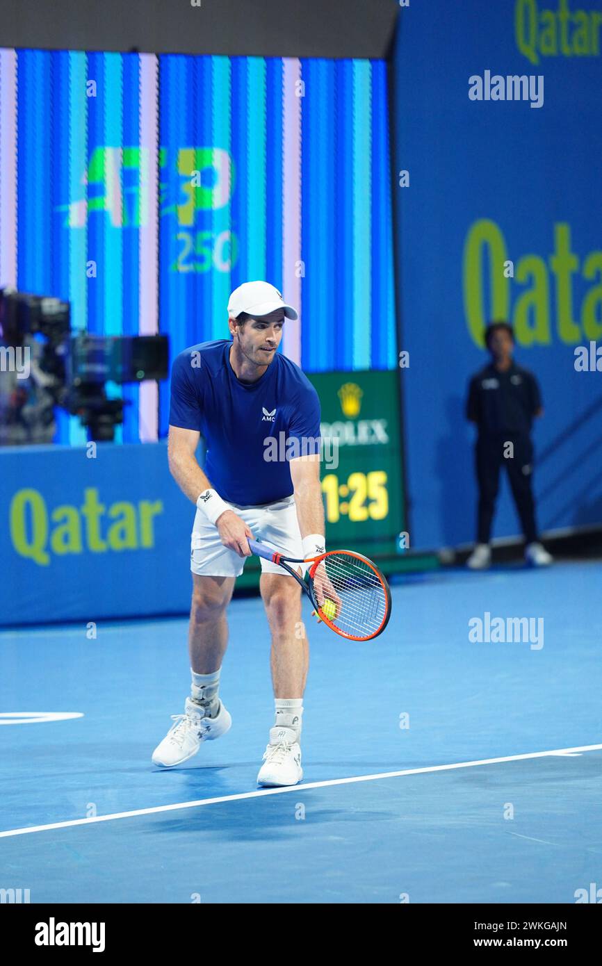 Andy Murray, ancien World No.1, en action au Qatar ExxonMobil Open 2024 le mardi 20 février 2024. Il marque sa première victoire de la saison 2024 avec un triomphe 6-1, 7-6(5) contre Alexandre Muller au Khalifa International Tennis and Squash Complex à Doha. Le tournoi est organisé par la Fédération de tennis du Qatar à Doha, la capitale du Qatar, et se terminera le 24 février 2024. Banque D'Images