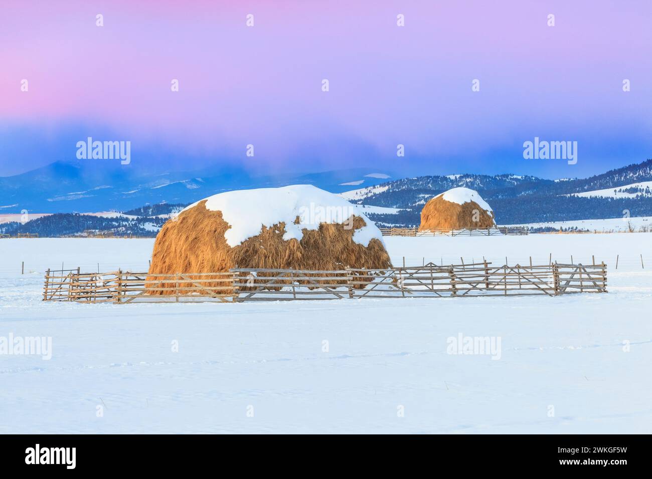 lever du soleil sur des bottes de foin en hiver près d'avon, montana Banque D'Images