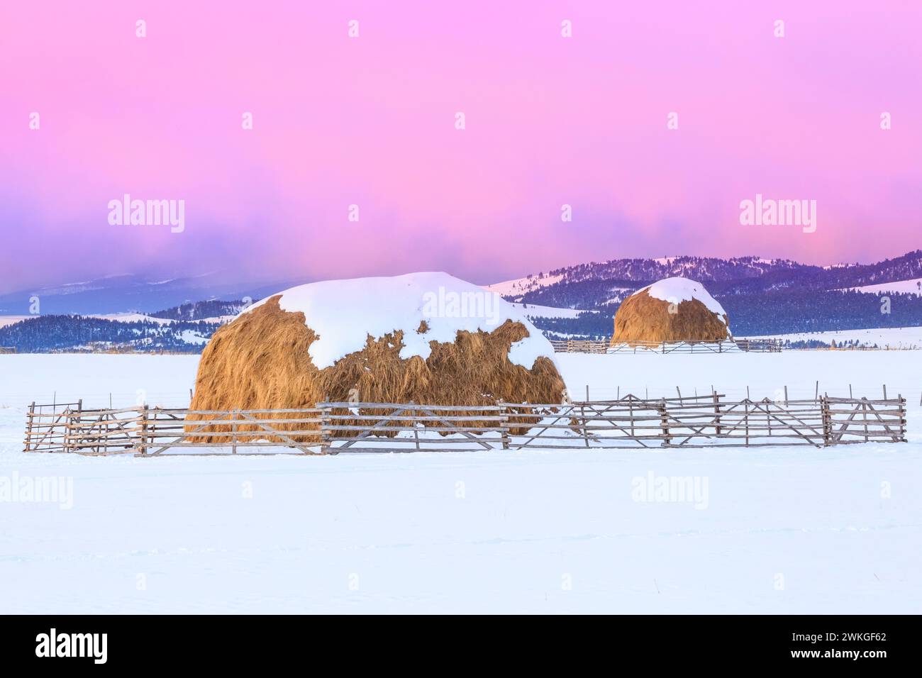 lever du soleil sur des bottes de foin en hiver près d'avon, montana Banque D'Images
