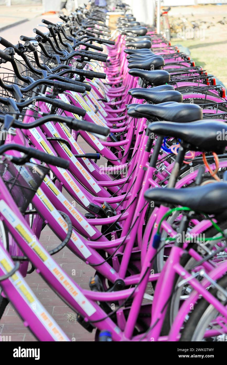 Location de vélos, Stazione centrale di S. Maria Novella, Florence, Toscane, Italie Banque D'Images