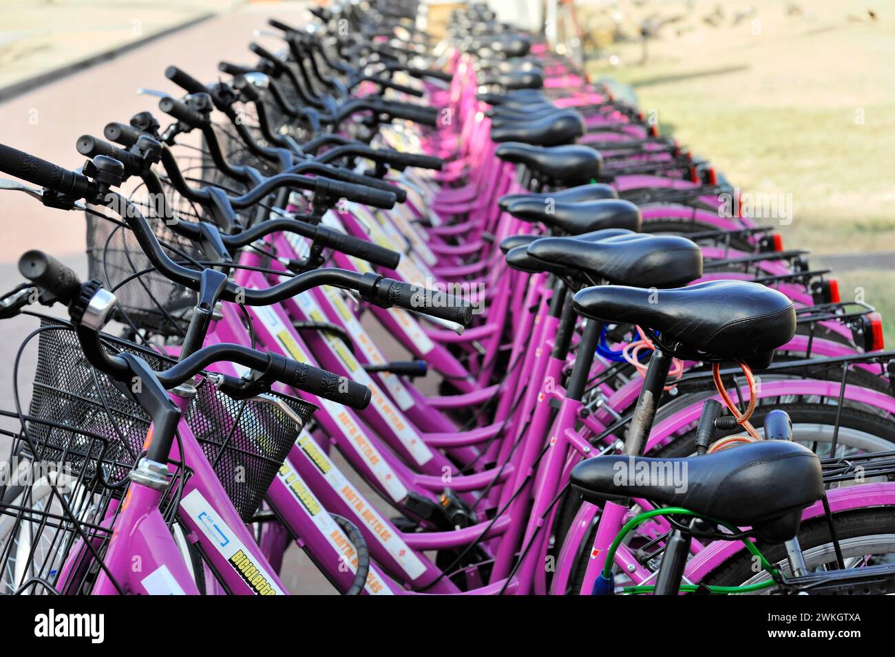 Location de vélos, Stazione centrale di S. Maria Novella, Florence, Toscane, Italie Banque D'Images