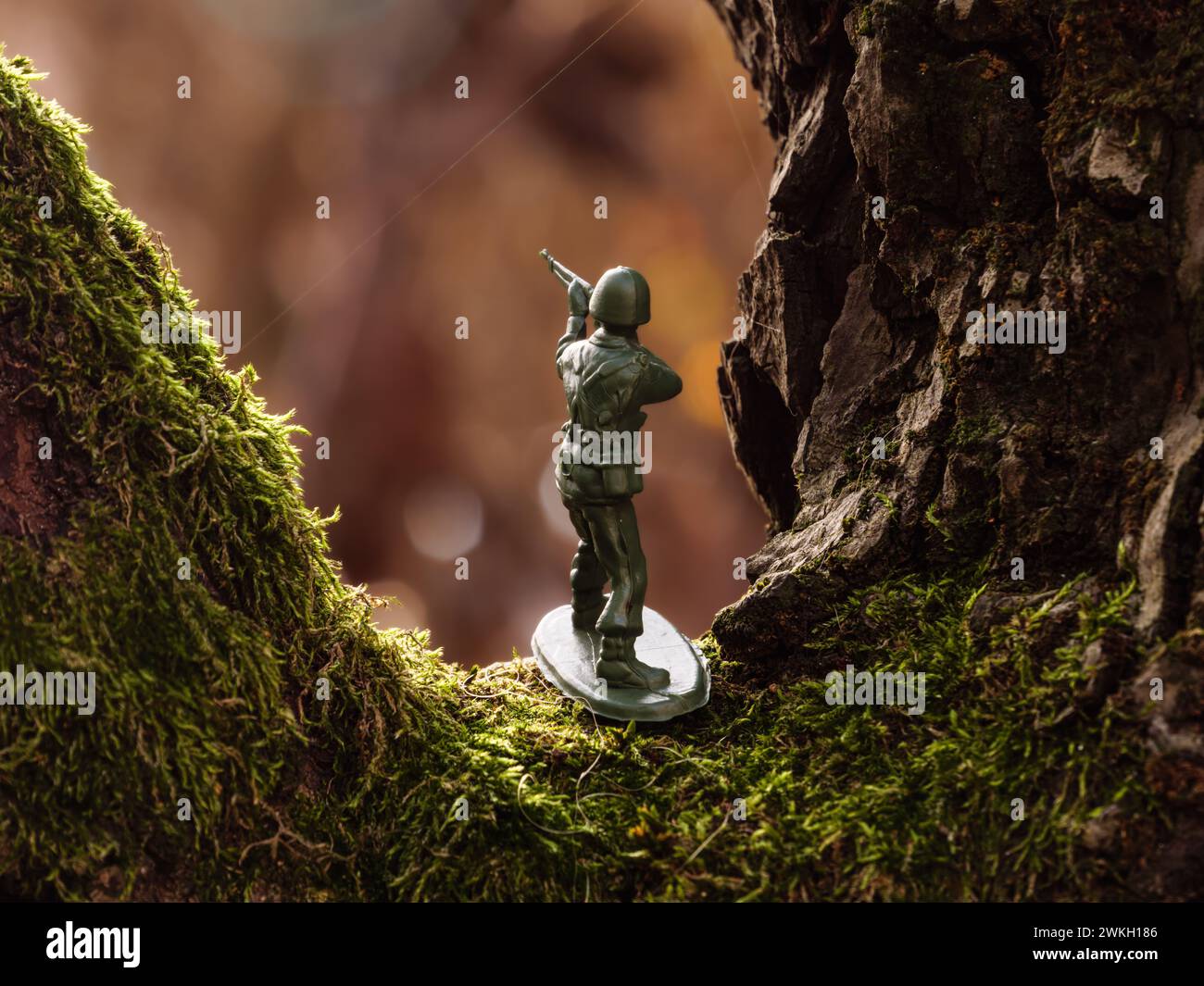 Un soldat jouet se tient sur une branche d'arbre brun couverte de mousse verte en été. Banque D'Images