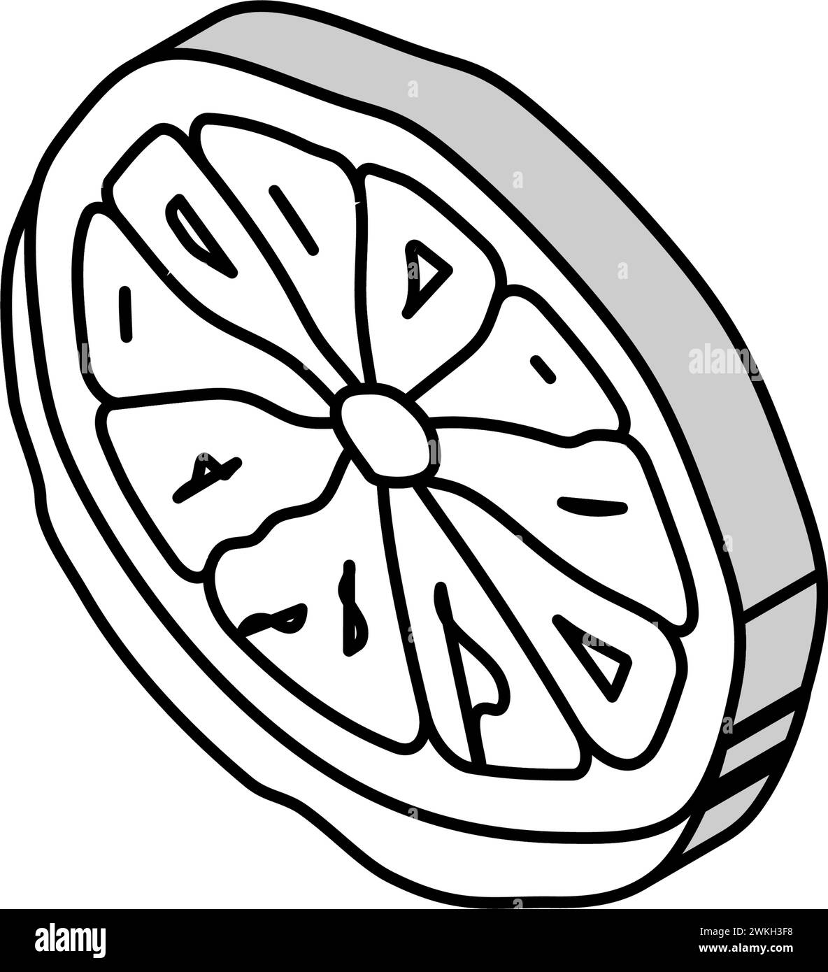 illustration vectorielle isométrique à icône représentant un fruit séché orange Illustration de Vecteur