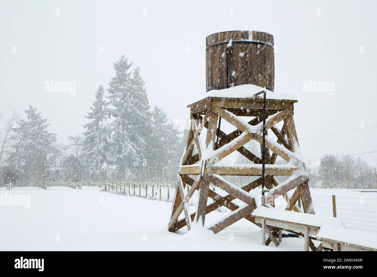 Tour de l'eau dans la neige, Marion County, Oregon Banque D'Images